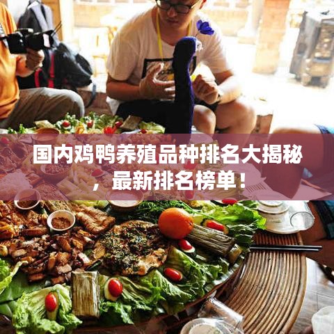 國內(nèi)雞鴨養(yǎng)殖品種排名大揭秘，最新排名榜單！