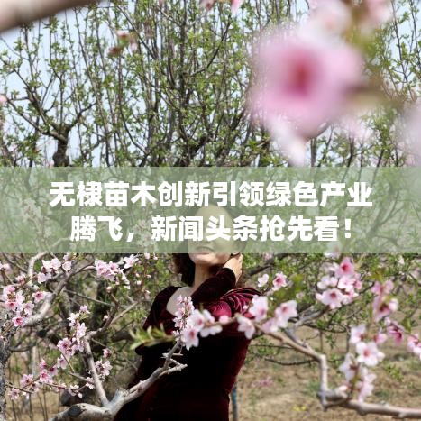 無棣苗木創(chuàng)新引領(lǐng)綠色產(chǎn)業(yè)騰飛，新聞?lì)^條搶先看！