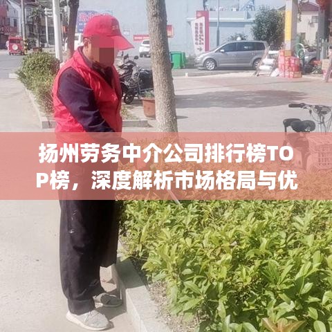 揚(yáng)州勞務(wù)中介公司排行榜TOP榜，深度解析市場(chǎng)格局與優(yōu)質(zhì)服務(wù)商！