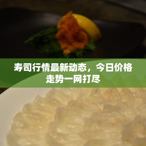 壽司行情最新動態(tài)，今日價格走勢一網(wǎng)打盡