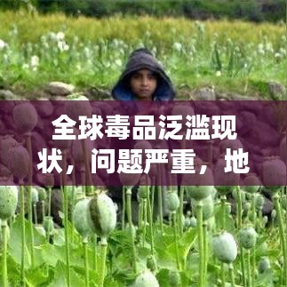 全球毒品泛濫現(xiàn)狀，問題嚴重，地區(qū)排名與治理挑戰(zhàn)