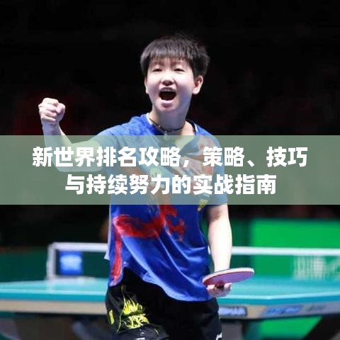 新世界排名攻略，策略、技巧與持續(xù)努力的實(shí)戰(zhàn)指南