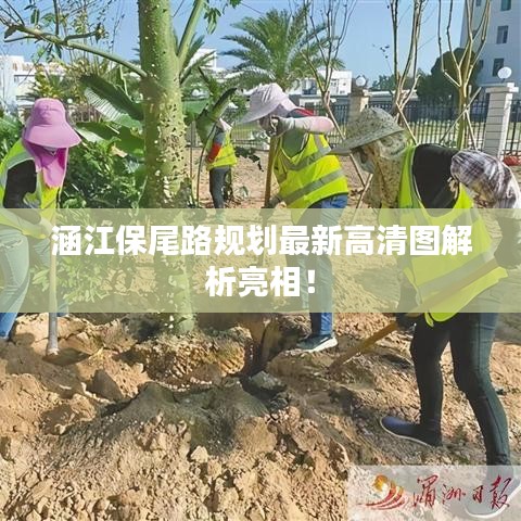 涵江保尾路規(guī)劃最新高清圖解析亮相！