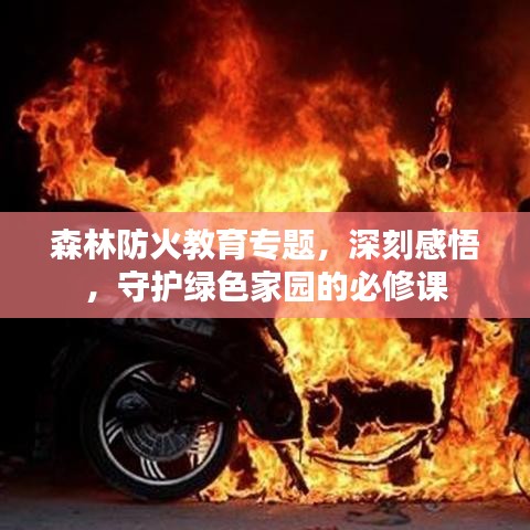 森林防火教育專題，深刻感悟，守護(hù)綠色家園的必修課