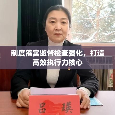 制度落實(shí)監(jiān)督檢查強(qiáng)化，打造高效執(zhí)行力核心