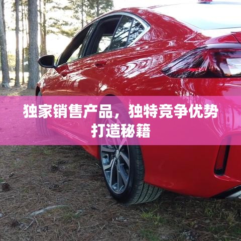 獨家銷售產品，獨特競爭優(yōu)勢打造秘籍