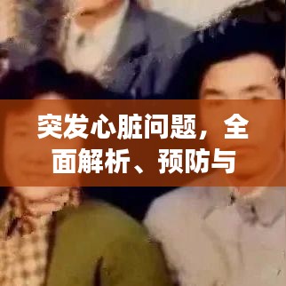 突發(fā)心臟問題，全面解析、預(yù)防與應(yīng)急處理方案