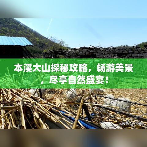 本溪大山探秘攻略，暢游美景，盡享自然盛宴！