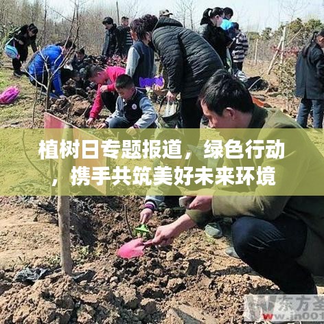 植樹日專題報(bào)道，綠色行動(dòng)，攜手共筑美好未來環(huán)境