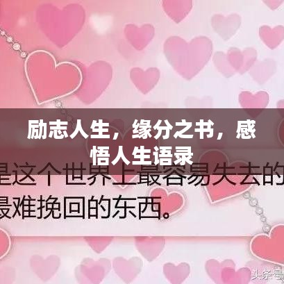 勵(lì)志人生，緣分之書，感悟人生語(yǔ)錄
