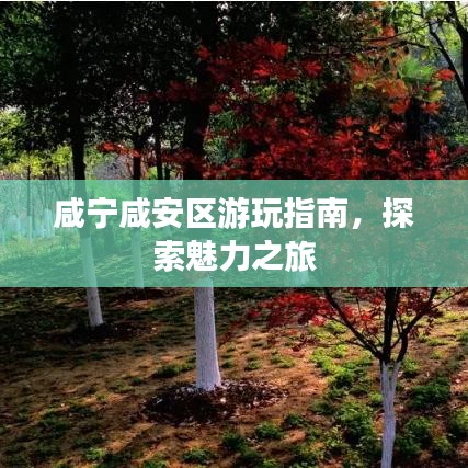 咸寧咸安區(qū)游玩指南，探索魅力之旅