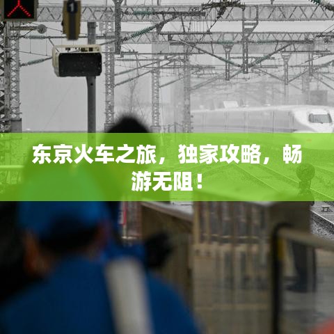 東京火車之旅，獨家攻略，暢游無阻！