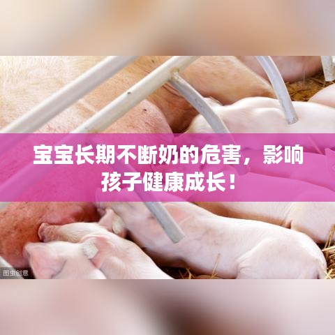 寶寶長期不斷奶的危害，影響孩子健康成長！