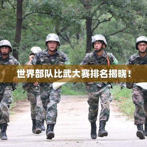 世界部隊(duì)比武大賽排名揭曉！