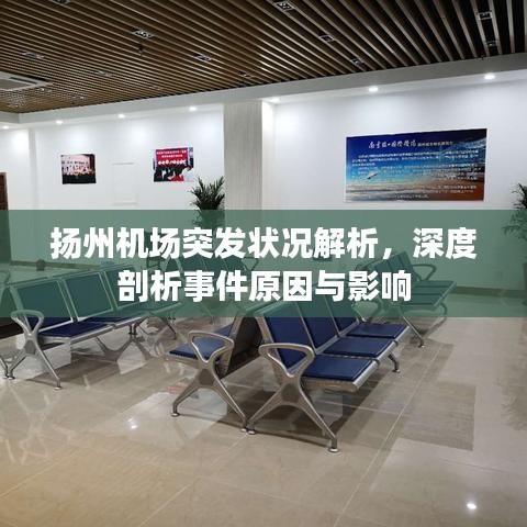 揚(yáng)州機(jī)場突發(fā)狀況解析，深度剖析事件原因與影響