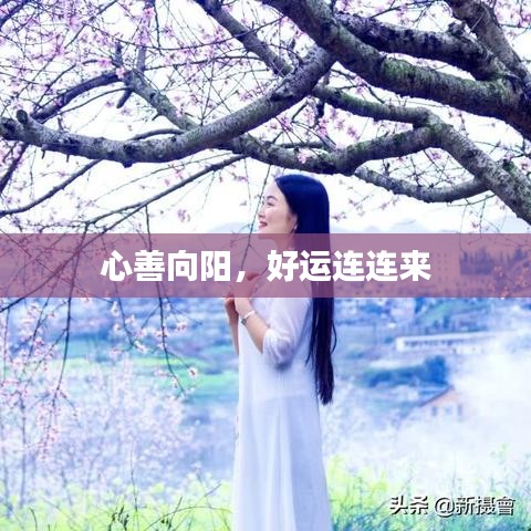 心善向陽，好運(yùn)連連來