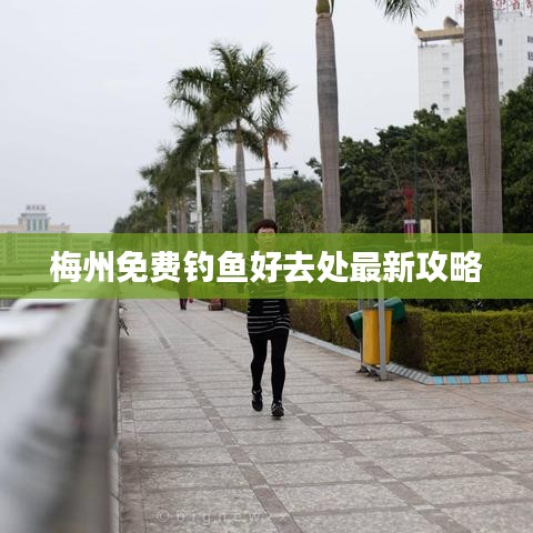 梅州免費(fèi)釣魚好去處最新攻略