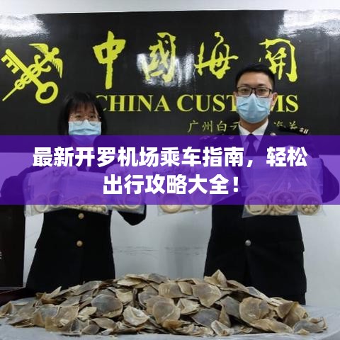 最新開羅機(jī)場(chǎng)乘車指南，輕松出行攻略大全！