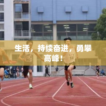生活，持續(xù)奮進(jìn)，勇攀高峰！
