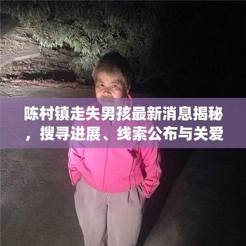 陳村鎮(zhèn)走失男孩最新消息揭秘，搜尋進展、線索公布與關(guān)愛行動啟動