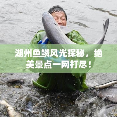 湖州魚鱗風(fēng)光探秘，絕美景點(diǎn)一網(wǎng)打盡！