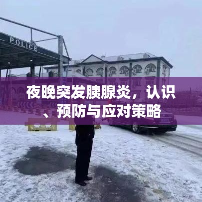 夜晚突發(fā)胰腺炎，認(rèn)識、預(yù)防與應(yīng)對策略