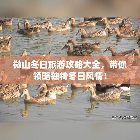 微山冬日旅游攻略大全，帶你領(lǐng)略獨(dú)特冬日風(fēng)情！