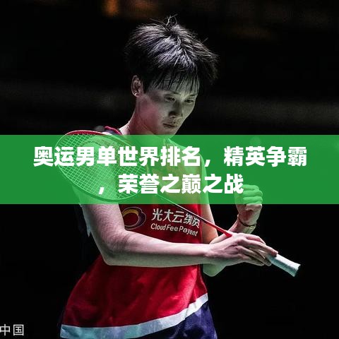 奧運(yùn)男單世界排名，精英爭霸，榮譽(yù)之巔之戰(zhàn)