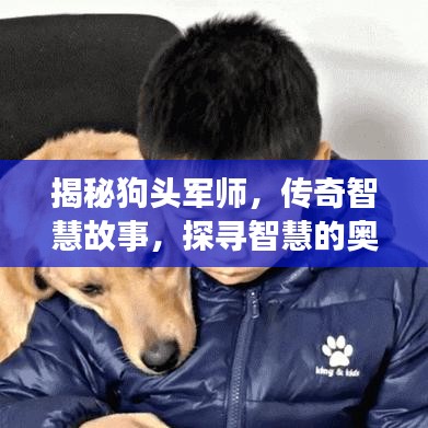 揭秘狗頭軍師，傳奇智慧故事，探尋智慧的奧秘