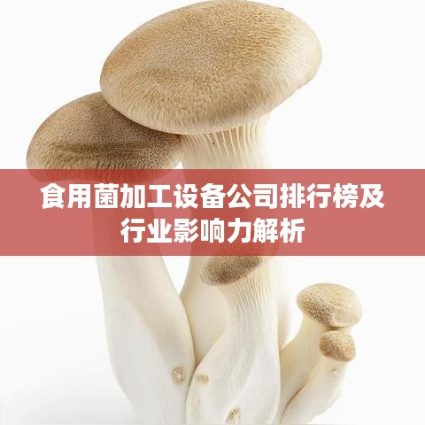 食用菌加工設(shè)備公司排行榜及行業(yè)影響力解析