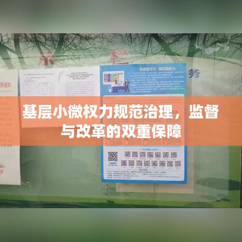基層小微權(quán)力規(guī)范治理，監(jiān)督與改革的雙重保障