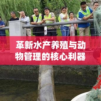 風馳電掣 第2頁