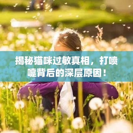 揭秘貓咪過(guò)敏真相，打噴嚏背后的深層原因！