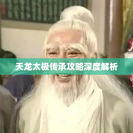 天龍?zhí)珮O傳承攻略深度解析