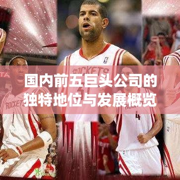 國(guó)內(nèi)前五巨頭公司的獨(dú)特地位與發(fā)展概覽