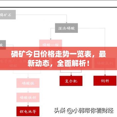 磷礦今日價(jià)格走勢(shì)一覽表，最新動(dòng)態(tài)，全面解析！