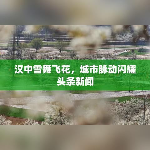 漢中雪舞飛花，城市脈動(dòng)閃耀頭條新聞