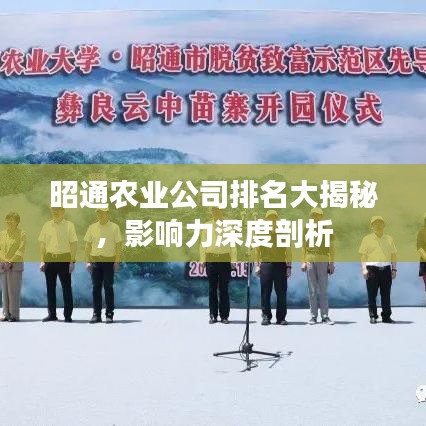 昭通農業(yè)公司排名大揭秘，影響力深度剖析