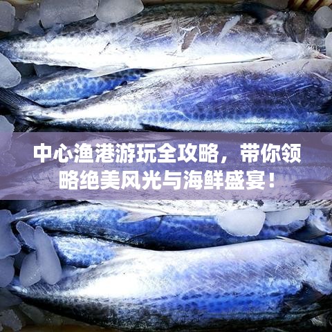 中心漁港游玩全攻略，帶你領(lǐng)略絕美風(fēng)光與海鮮盛宴！