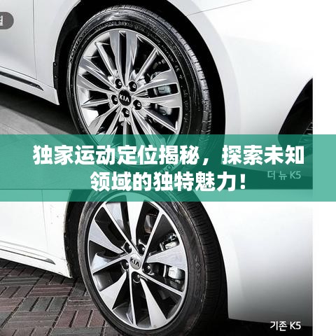 獨(dú)家運(yùn)動(dòng)定位揭秘，探索未知領(lǐng)域的獨(dú)特魅力！