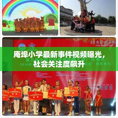 庵埠小學(xué)最新事件視頻曝光，社會關(guān)注度飆升