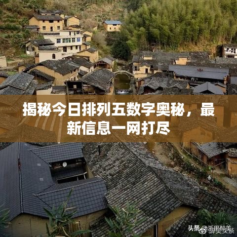 揭秘今日排列五數(shù)字奧秘，最新信息一網(wǎng)打盡