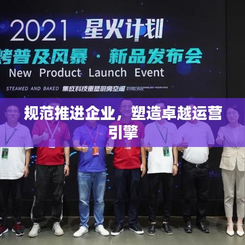 規(guī)范推進(jìn)企業(yè)，塑造卓越運營引擎
