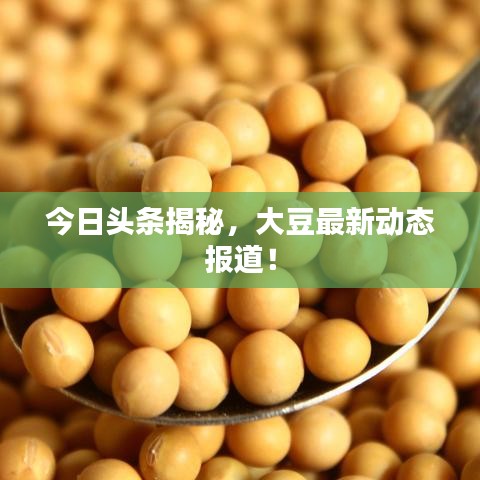 今日頭條揭秘，大豆最新動態(tài)報道！