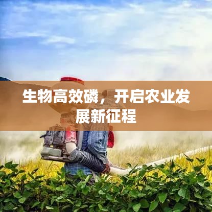 生物高效磷，開啟農業(yè)發(fā)展新征程
