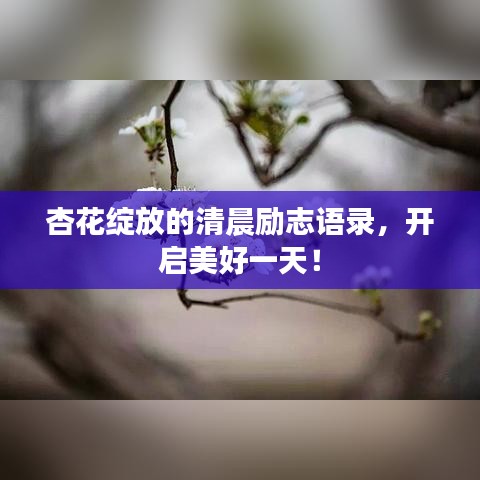 杏花綻放的清晨勵志語錄，開啟美好一天！