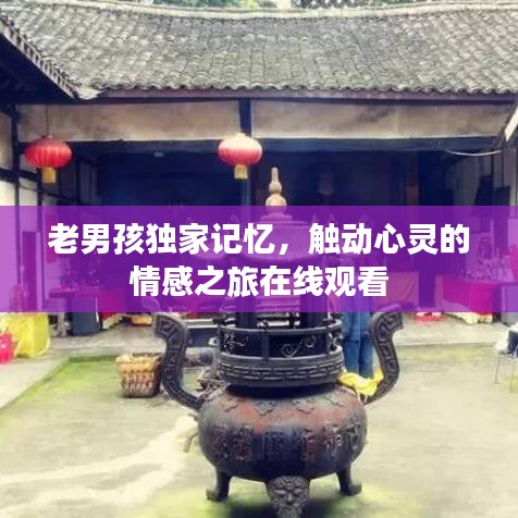 老男孩獨(dú)家記憶，觸動(dòng)心靈的情感之旅在線觀看