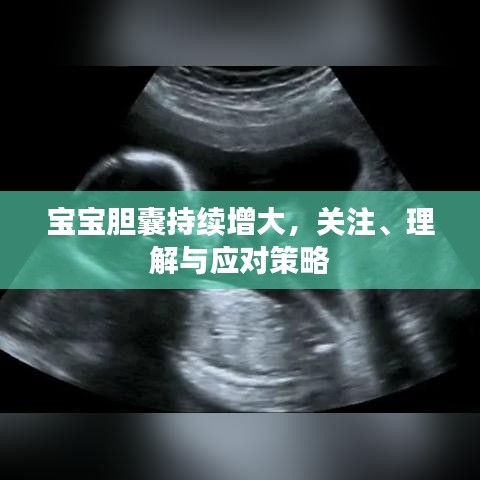 寶寶膽囊持續(xù)增大，關(guān)注、理解與應(yīng)對策略