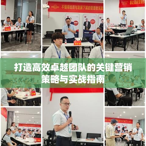 打造高效卓越團(tuán)隊(duì)的關(guān)鍵營(yíng)銷(xiāo)策略與實(shí)戰(zhàn)指南