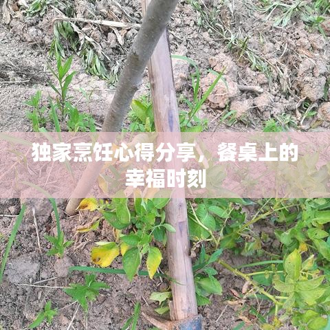 獨(dú)家烹飪心得分享，餐桌上的幸福時(shí)刻